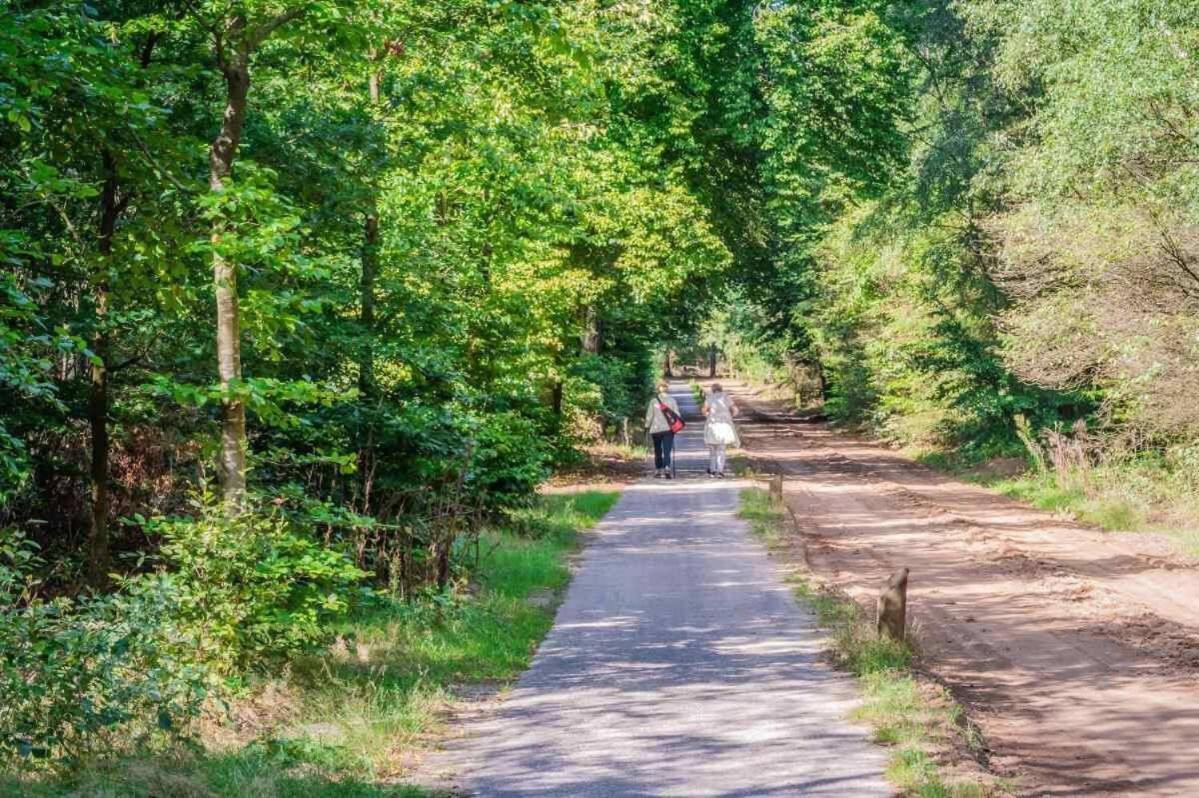 فيلا Charmant Chalet Op Een Bospark Op De Veluwe بوتِنْ المظهر الخارجي الصورة